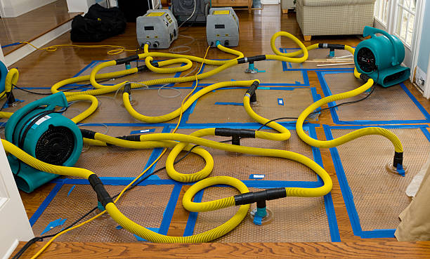 Professional Crawl Space Water Removal technician working in Three Rivers, TX